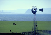 cayucos windmill