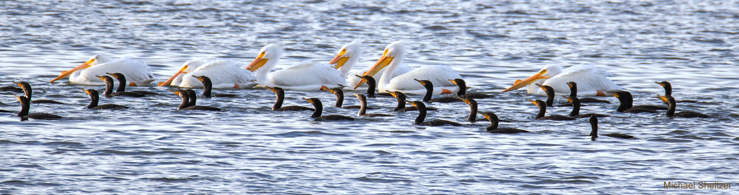 Beauty Abounds in Morro Bay