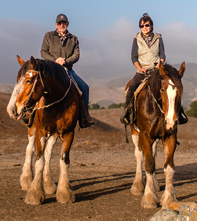 coeval clydesdale ranch provides trail rides on very gentle giants